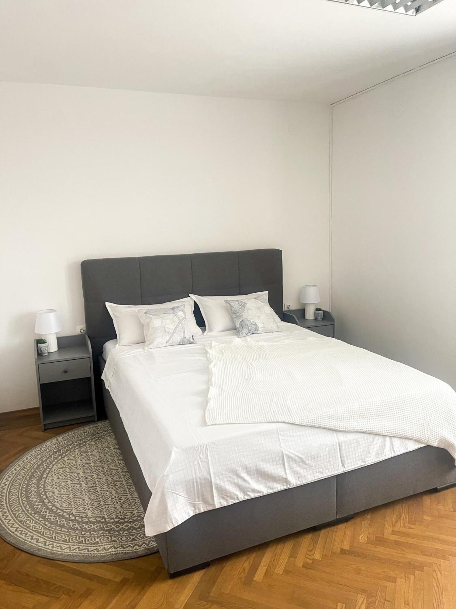 Spacious Cozy Apartment Λιουμπλιάνα Εξωτερικό φωτογραφία