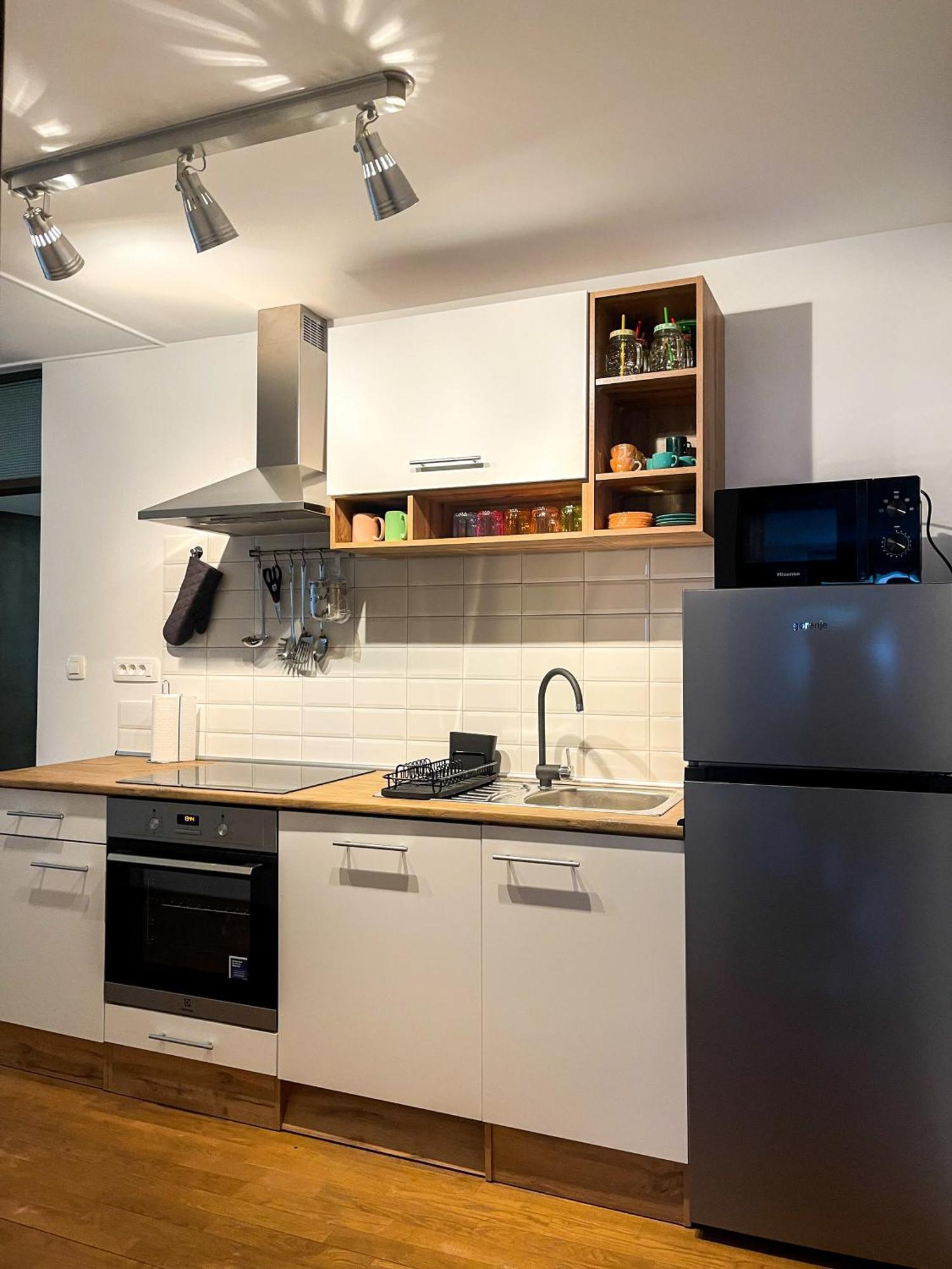 Spacious Cozy Apartment Λιουμπλιάνα Εξωτερικό φωτογραφία